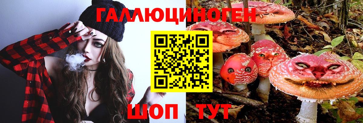 Сегежа  Псилоцибиновые грибы Cubensis  Вход с VPN  Псилоцибиновые грибы Magic Shrooms 